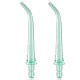 Насадки для іригатора Oclean Nozzle N10 for Oclean W10 Green 2 шт